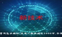 2023年数字钱包大揭秘：使用人数猛增