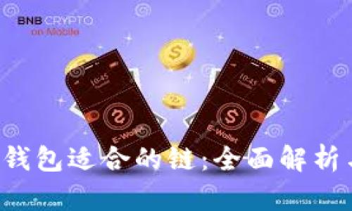 FIL币存TP钱包适合的链:全面解析与实用指南
