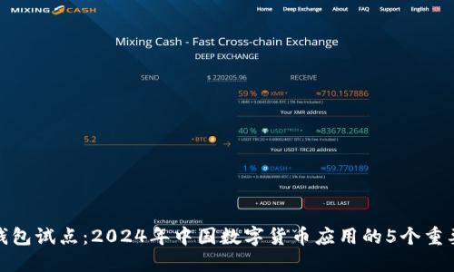 数字钱包试点：2024年中国数字货币应用的5个重要趋势