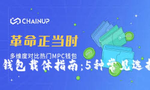 2023年数字钱包载体指南：5种常见选择与应用分析