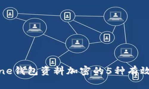 iPhone钱包资料加密的5种有效方法