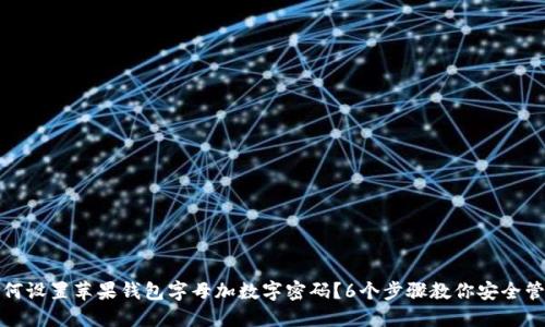 如何设置苹果钱包字母加数字密码?6个步骤教你安全管理