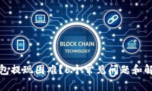 数字钱包提现困难?5个常见问题和解决方案