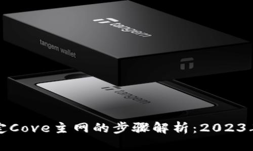 TP钱包绑定Cove主网的步骤解析：2023年最新指南