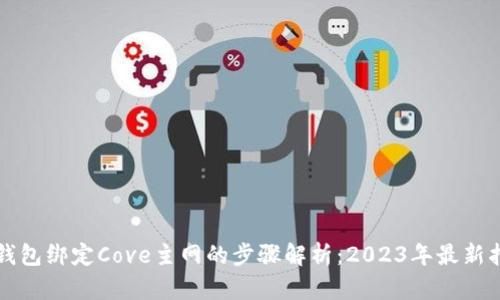 TP钱包绑定Cove主网的步骤解析：2023年最新指南