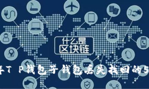 2023年T P钱包子钱包丢失找回的5大步骤