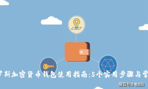 2023年俄罗斯加密货币钱包使用指南:5个实用步骤与常见问题解析