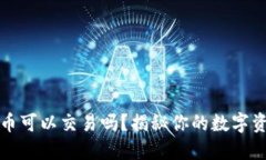 TP钱包中的币可以交易吗？揭秘你的数