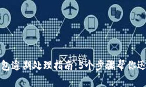 数字钱包逾期处理指南:5个步骤帮你迅速解困