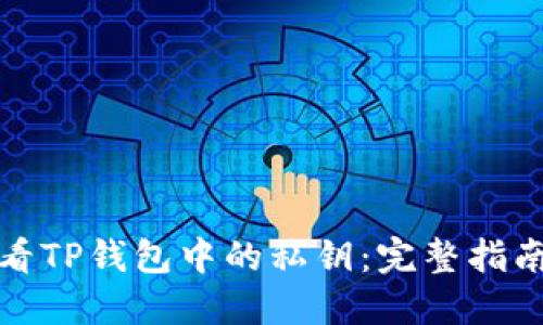 如何查看TP钱包中的私钥:完整指南与实例