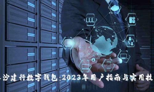 长沙建行数字钱包:2023年用户指南与实用技巧