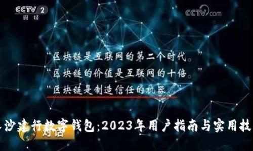 长沙建行数字钱包:2023年用户指南与实用技巧