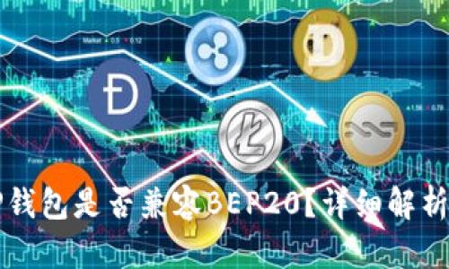 2023年T P钱包是否兼容BEP20?详细解析与用户指南