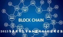 2023年最新钱包页面加密码的5种实用方