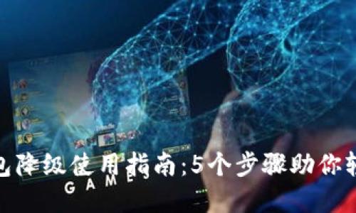 数字钱包降级使用指南:5个步骤助你轻松应对
