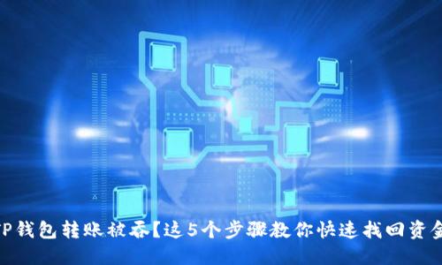 TP钱包转账被吞？这5个步骤教你快速找回资金