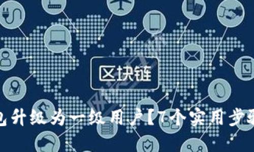 如何将数字钱包升级为一级用户？7个实用步骤让你轻松搞定