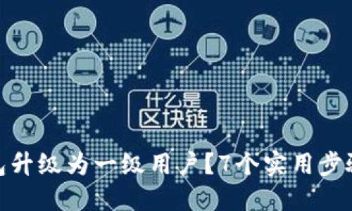 如何将数字钱包升级为一级用户？7个实用步骤让你轻松搞定