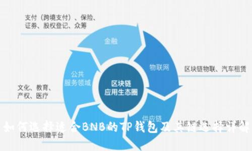 如何选择适合BNB的TP钱包及其链选择详解