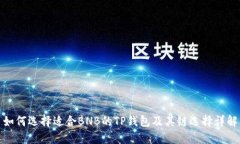 如何选择适合BNB的TP钱包及其链选择详