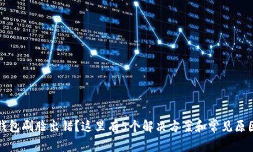 数字钱包刷脸出错？这里有5个解决方案和常见原因分析