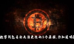 数字钱包名称无法更改的5个原因，你