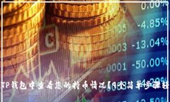 如何在TP钱包中查看您的持币情况？