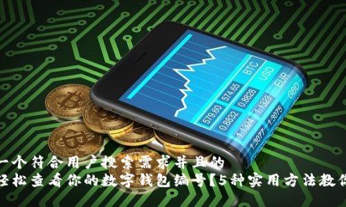 思考一个符合用户搜索需求并且的  
如何轻松查看你的数字钱包编号？5种实用方法教你搞定