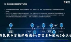 TP钱包提币金额限制揭秘：你需要知道