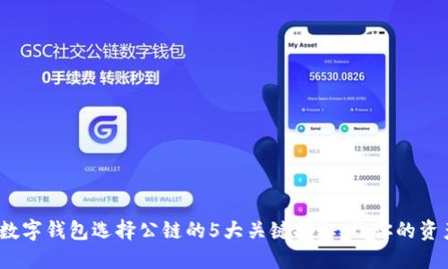 2023年数字钱包选择公链的5大关键指标,让你的资产更安全