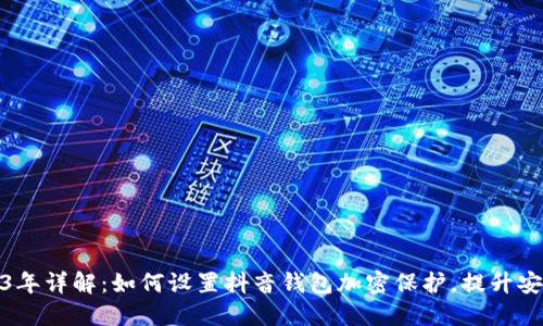 2023年详解:如何设置抖音钱包加密保护,提升安全性