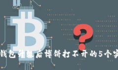 解决TP钱包升级后博饼打不开的5个实用