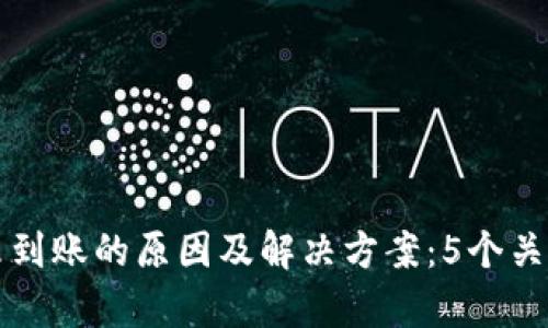 TP钱包转入交易所未到账的原因及解决方案：5个关键步骤帮你快速排查