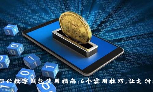 2023年绍兴数字钱包使用指南:6个实用技巧,让支付更加便捷