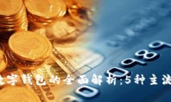 2023年区块链数字钱包的全面解析：5种