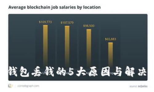 数字钱包丢钱的5大原因与解决策略