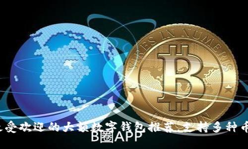 2023年十大最受欢迎的大额数字钱包推荐，支持多种币种和支付方式