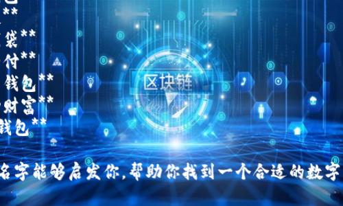 这里有一些关于数字钱包的创意名称，供你参考：

1. **智付宝**  
2. **钱包通**  
3. **数字金库**  
4. **易钱包**  
5. **币友**  
6. **快钱袋**  
7. **安全付**  
8. **未来钱包**  
9. **移动财富**  
10. **云钱包**

希望这些名字能够启发你，帮助你找到一个合适的数字钱包名称！