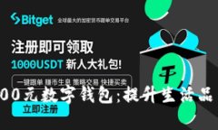 如何有效利用5000元数字钱包：提升生