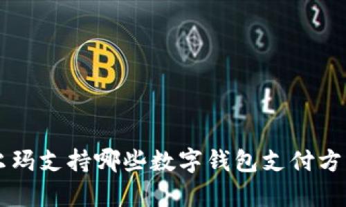 2023年沃尔玛支持哪些数字钱包支付方式，全面解析