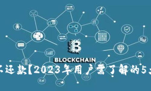 数字钱包不还款？2023年用户需了解的5大关键因素