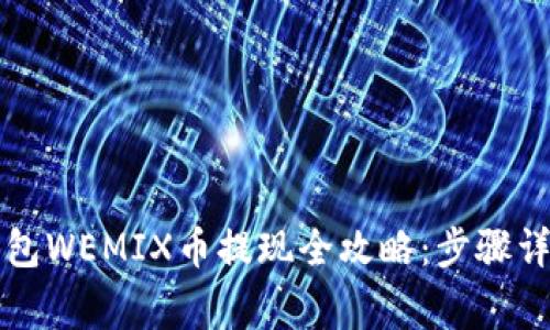2023年T P钱包WEMIX币提现全攻略：步骤详解与注意事项