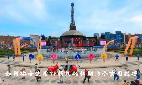 如何安全使用TP钱包的私钥:5个实用技巧