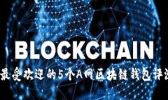 2023年最受欢迎的5个A网区块链钱包评测