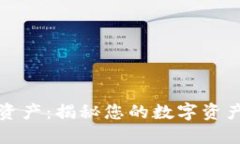 TP钱包中的我的资产：揭秘您的数字资