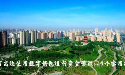 如何高效使用数字钱包进行资金管理：10个实用技巧
