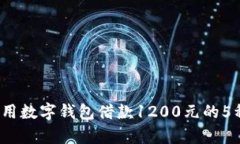 2023年使用数字钱包借款1200元的5种有效