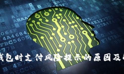 下载TP钱包时支付风险提示的原因及解决方案