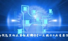 t p钱包里的火葬链是哪个？一文揭示