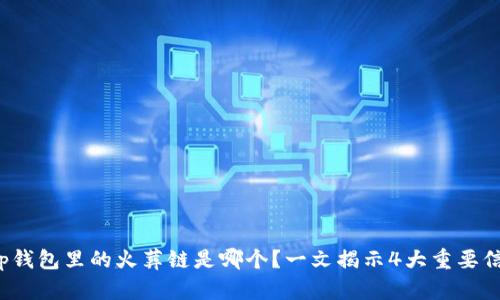 t p钱包里的火葬链是哪个?一文揭示4大重要信息